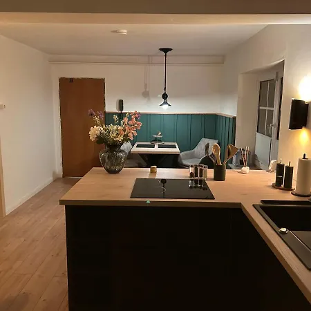 Apartament Fliegender Hirsch *