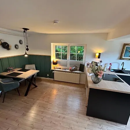 Fliegender Hirsch Apartament Bak